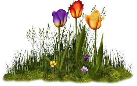 Fleurs Des Indes Tea Towel main image 0
