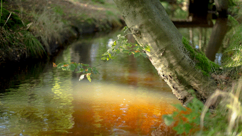 Related image
